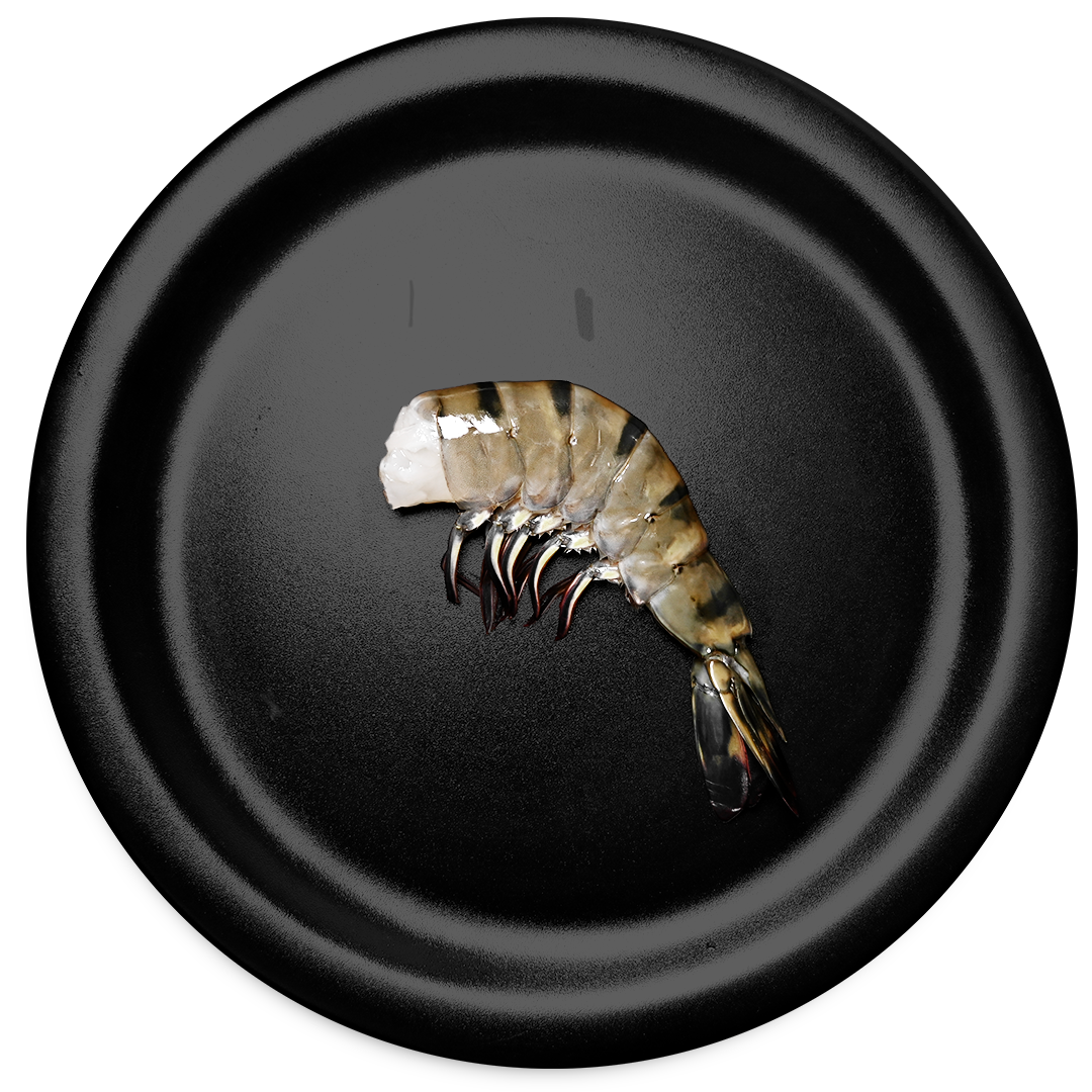 Shrimp tail labelled "Black Tiger HLSO" on a black plate.