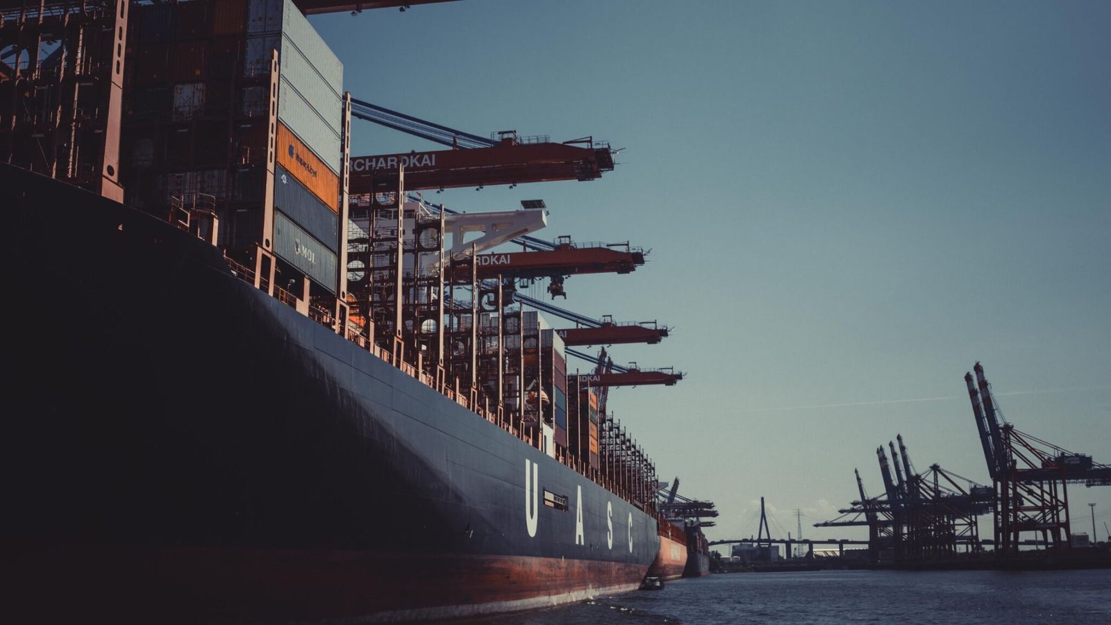 How to Export Fish from India? [A Complete Guide] - Jeelani Marine