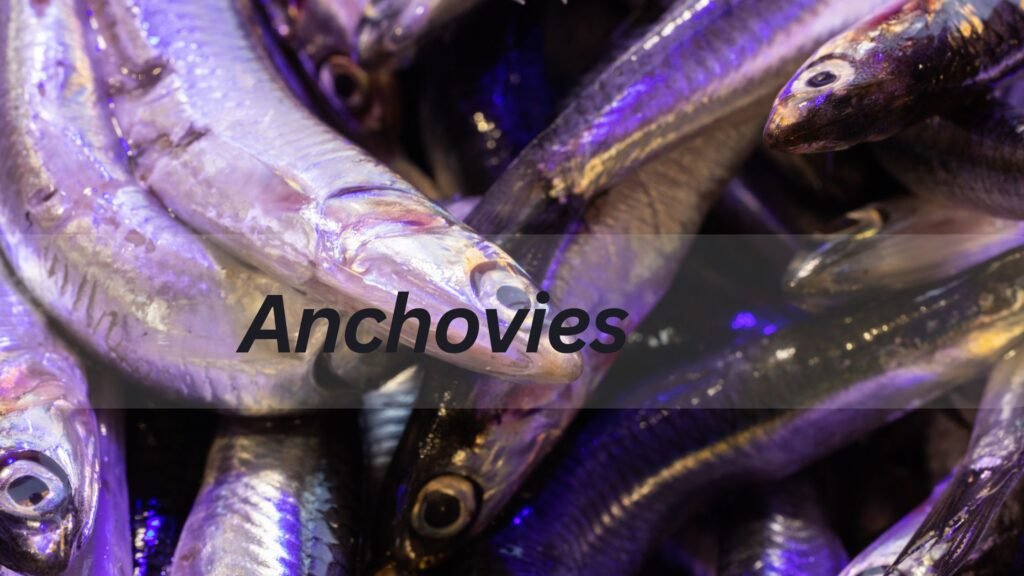 Anchovies