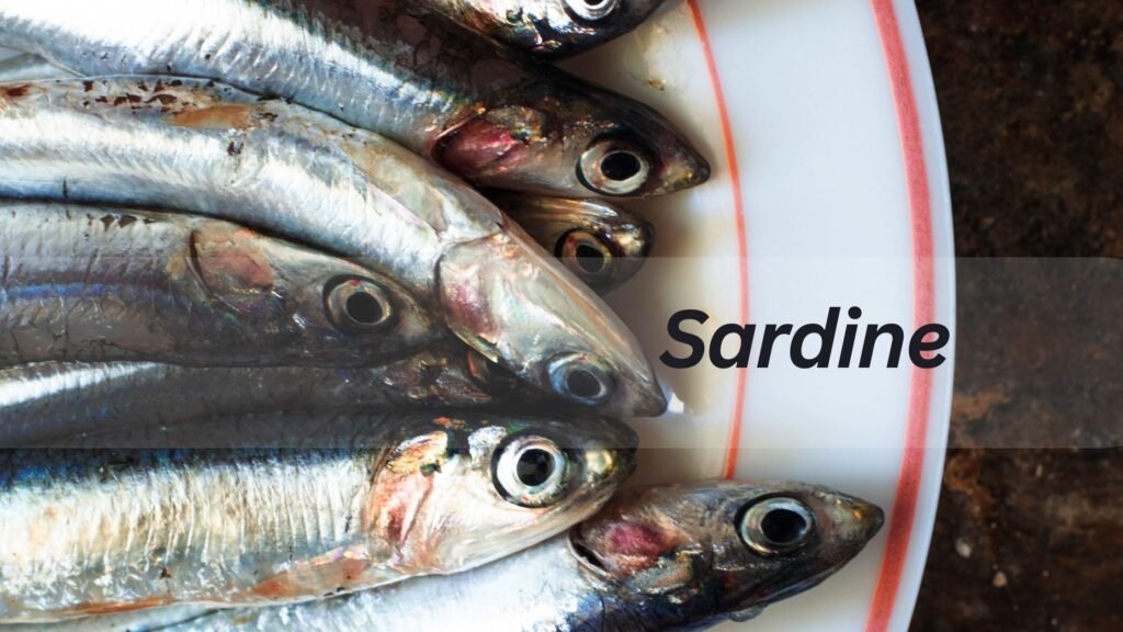 Sardines