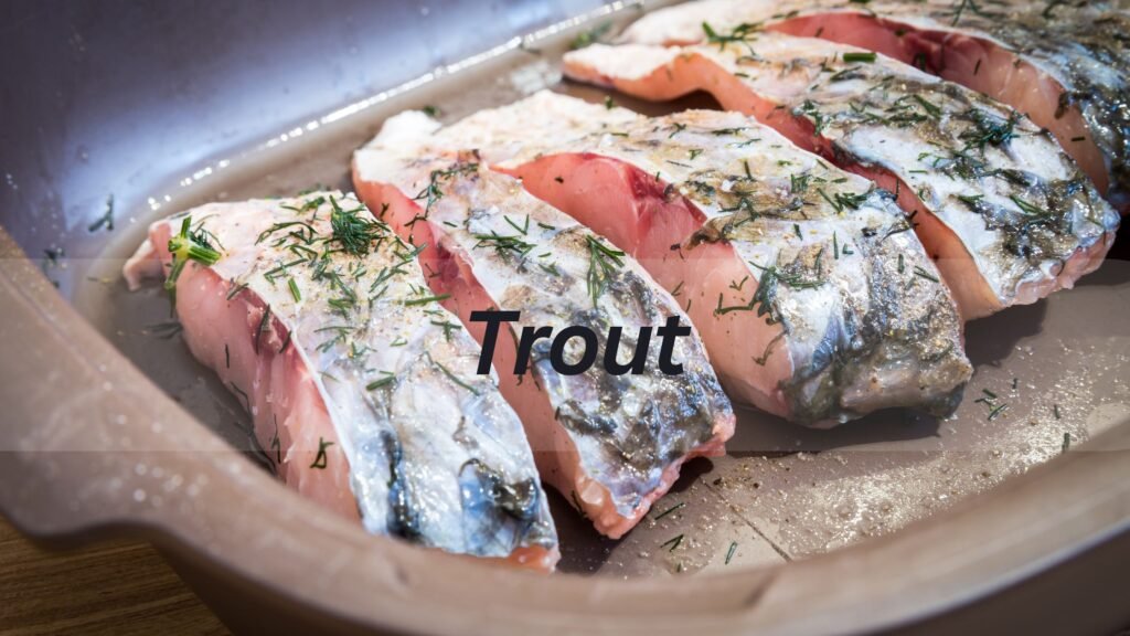 Trout