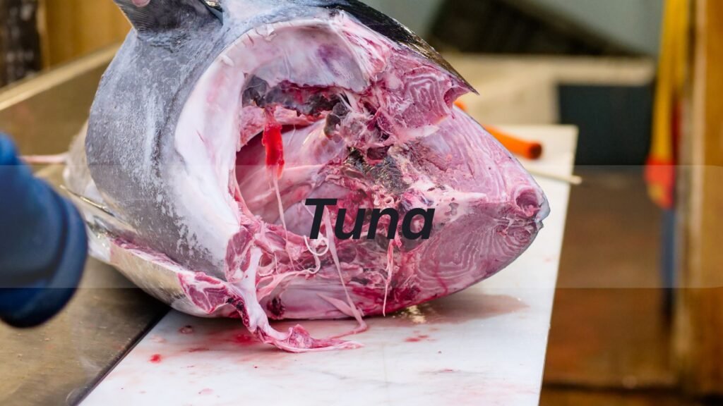 Tuna